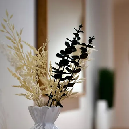 The Comfort Hub * Leeds (West Yorkshire)