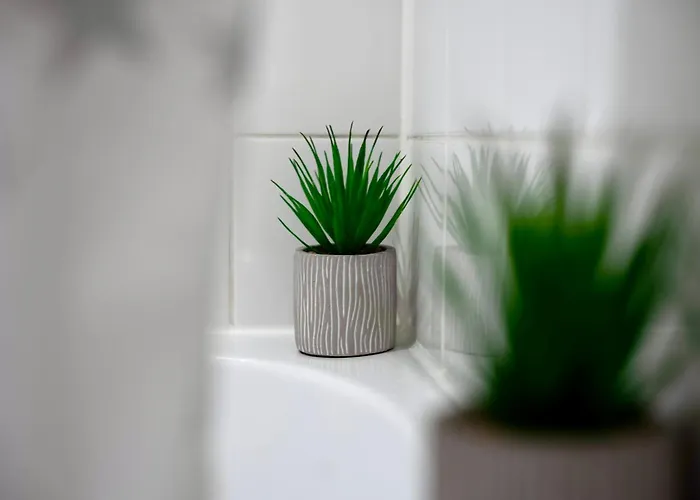 公寓 The Comfort Hub *